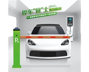 商河RG-CW系列车位小道闸